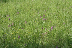 Killikus&reg; Fotographie